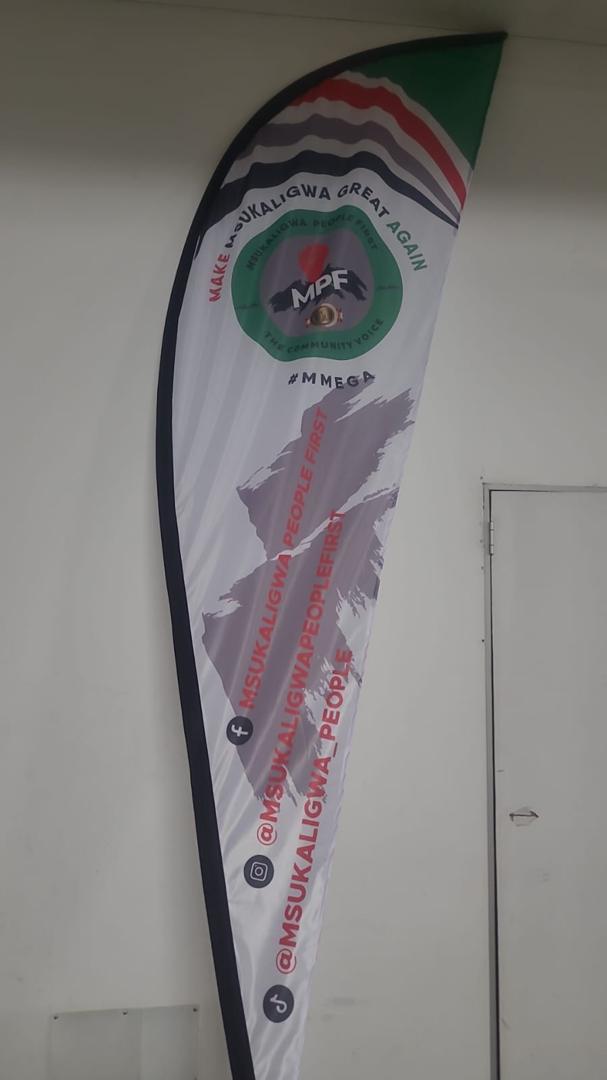 4m Sharkfins. Full color with pole andd carry bag with spike (copy)